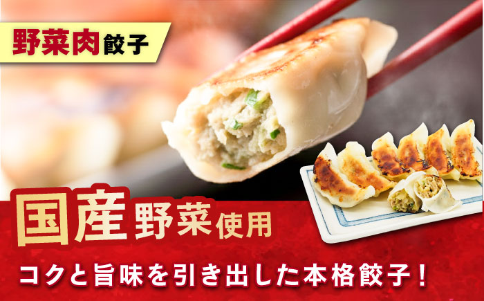 訳あり　本格餃子　100個セット　【株式会社オウモリ食品】 [AKHQ002]