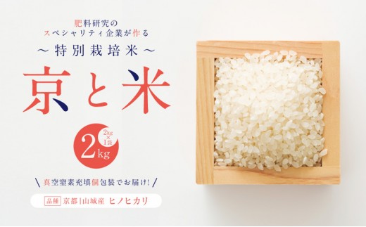
                  京都府京田辺市産 京と米 ヒノヒカリ 2kg (2kg×1袋) R7年度産 お米 米 こめ コメ 精米 白米 ごはん ご飯 弁当 おにぎり 真空 長期保存 防災 京田辺市 京都府 kt2026
                