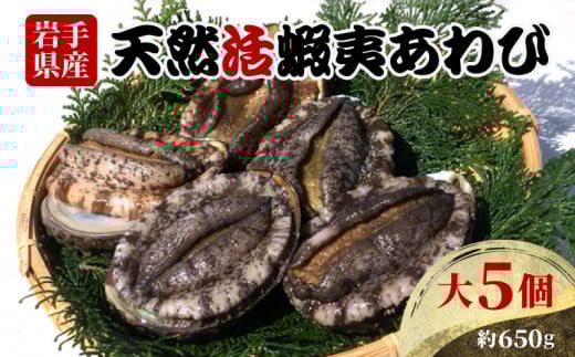 
あわび 大サイズ 5個 約650g 三陸産 天然 活鮑 刺身 冷蔵 旬 貝 蝦夷あわび 魚介類 期間限定 産地直送 岩手 大船渡市
