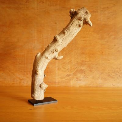 ふるさと納税 屋久島町 【屋久島の流木】中サイズ　タイプ2