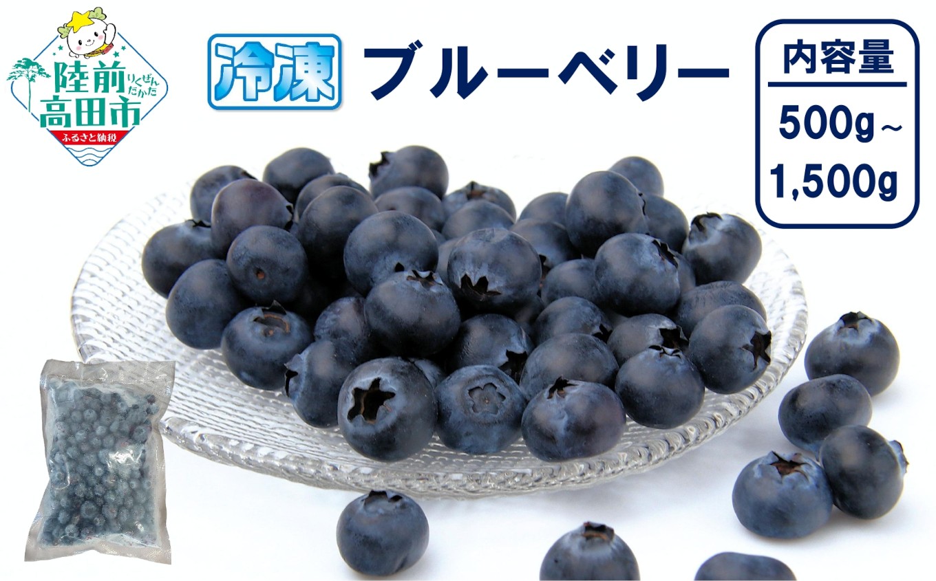 
                  先行予約 【数量限定】 冷凍ブルーベリー 内容量が選べる 500g～1,500g 品種ミックス だいわフルーツパーク 【 産地直送 果物 フルーツ ブルーベリー 食べ比べ ヨーグルト ジャム 】
                