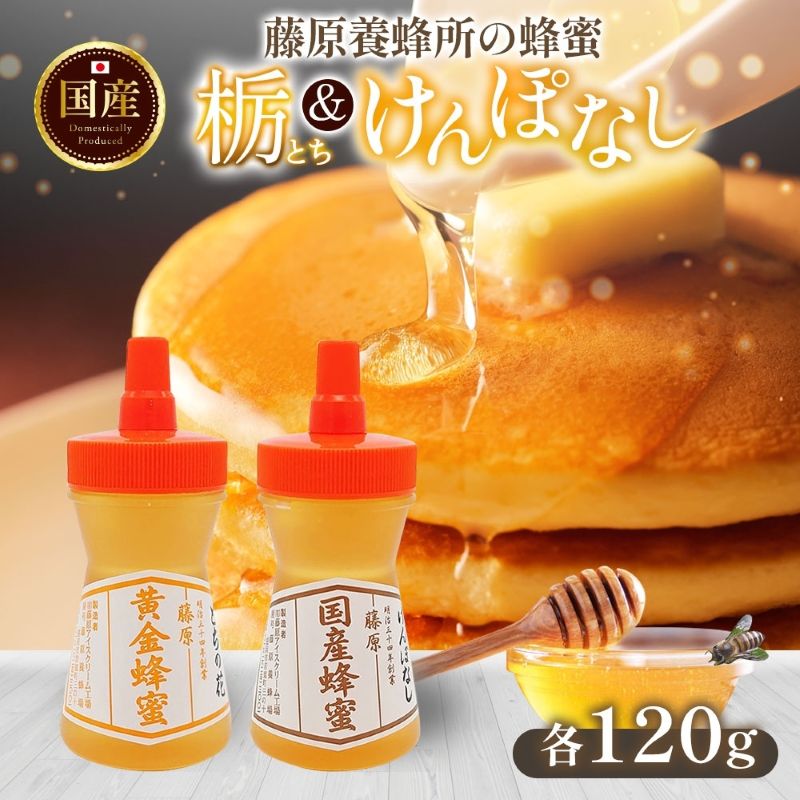【ふるさと納税】 はちみつ 栃 ケンポナシ 各120g 計240g 藤原黄金蜂蜜 藤原国産蜂蜜 食べ比べ セット 国産はちみつ 天然 無添加 とち 玄圃梨 単花蜜 岩手県 盛岡市 東北 岩手 盛岡 藤原養蜂場