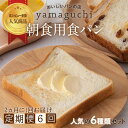 【ふるさと納税】【6回定期便】朝食用食パンセット 2ヵ月に1回お届け｜詰め合わせ 食べ比べ 6種 トースト