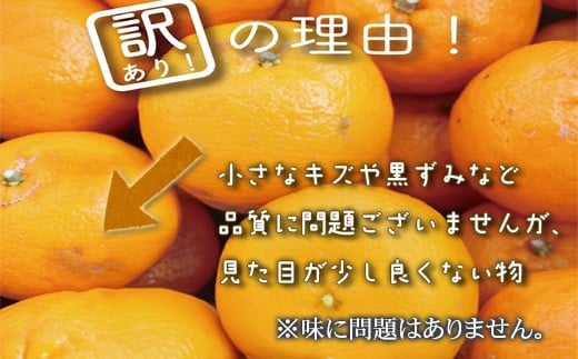 【早期予約開始】 1月中旬より順次発送 ポンカン 訳あり 10kg サイズ混合 家庭用 立目 ブランド 果物 フルーツ 冬 柑橘 2026年 収穫分 みかん 蜜柑 デザート 高知県 須崎市 TMS005