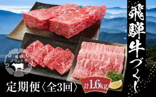 【定期便】飛騨牛（全３回）（ステーキ /焼肉 / ブロック[塊] ) 計1.6kg 全3回  飛騨牛 定期便 |  飛騨牛 定期便  牛肉 定期便 飛騨牛 焼肉  飛騨牛 ステーキ  飛騨牛 定期便 牛肉 定期便 飛騨牛ブロック 牛肉 焼肉 ステーキ カルビ ブロック  牛肉 定期 【飛騨高山ミート MZ101】
