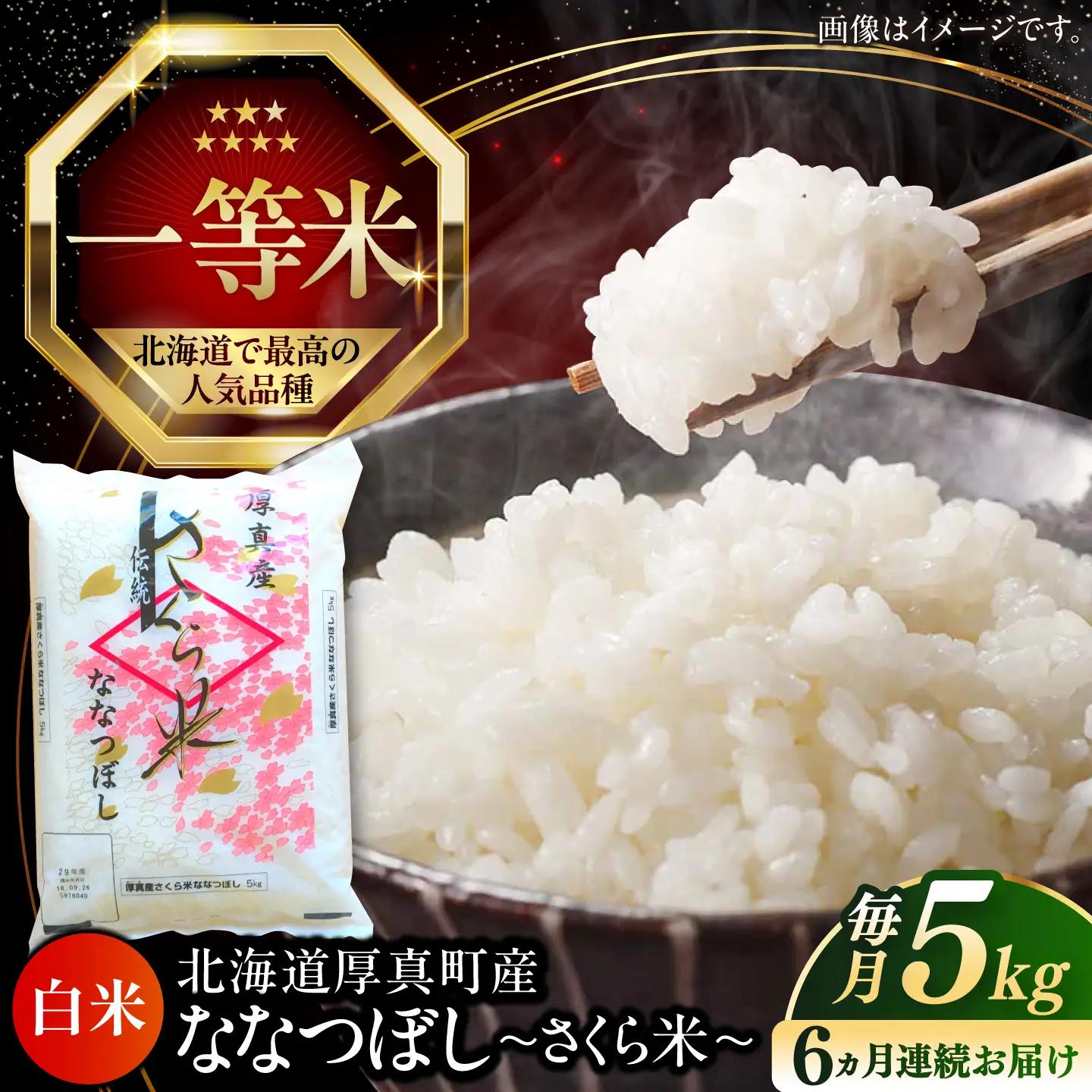 【全6回定期便】　ななつぼし さくら米 5kg 令和8年産 新米 白米 精米 ブランド米 [AXAB029]