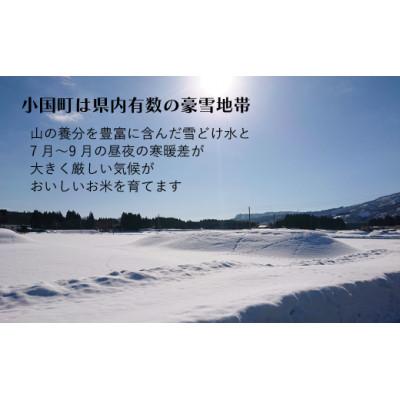 ふるさと納税 小国町 雪若丸 精米 2kg 令和7年産 山形県小国町産 |  | 02