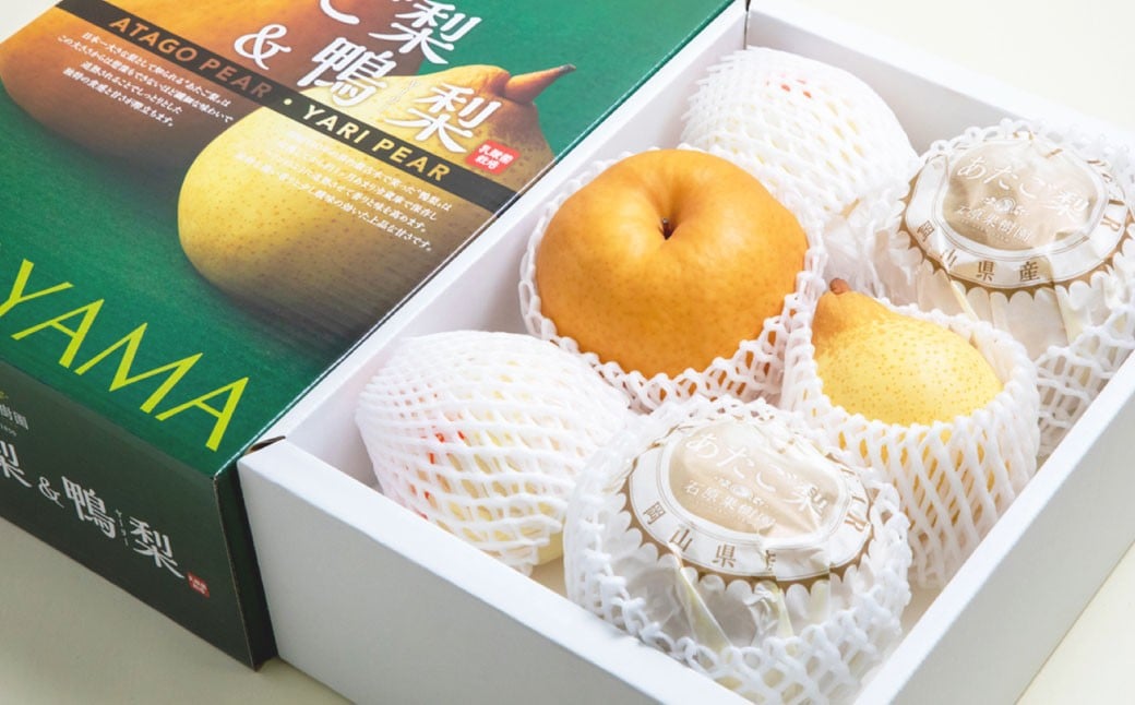
            あたご梨 2～3玉 ・ 鴨梨 （ヤーリー） 3～6玉 詰合せ 合計約4kg 贈答箱 ／ 愛宕梨 梨 なし ナシ 果物  【2025年11月下旬～12月下旬発送予定】
          