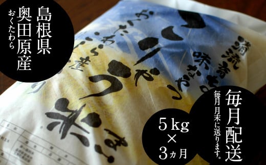 安来のお米【定期便】こりゃう米（まい）白米　5kg×3回（毎月） 令和6年産  【定期便 5㎏×3回 コシヒカリ 精米】