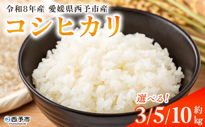 
                  新米＜令和8年産 コシヒカリ 3kg・5kg・10kg＞国産 愛媛県産 宇和町産 宇和米 こしひかり お米 米 コメ こめ 白米 精米 ご飯 新鮮 3キロ 5キロ 10キロ 選べる 特産品 大塚農園 愛媛県 西予市【常温】『2026年10月・11月頃から順次発送予定』
                