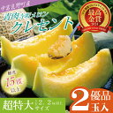 【ふるさと納税】【2025年発送】【中富良野町】寺坂メロン　2玉入り（青肉超特大）