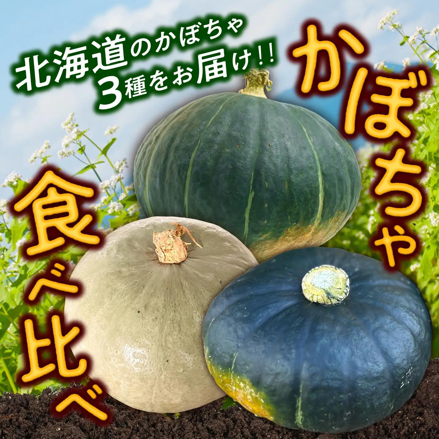 【先行予約】北海道 かぼちゃ 訳あり ダークホース・とっておき・特濃こふき 3種類×2個 【9月中旬以降発送】足寄町/足寄アグリバイオ株式会社 [BEAC015]