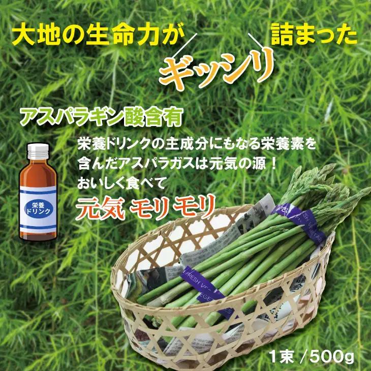 採れたて新鮮！アスパラガス（1kg）百島農園 生産者直送 野菜 A075-037
