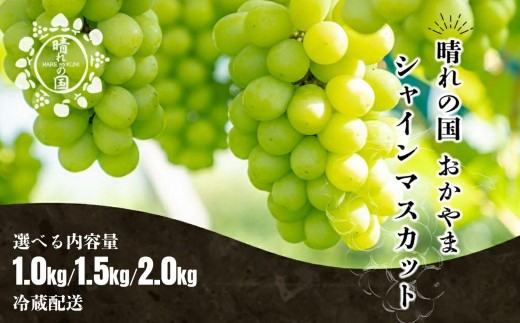 
                  【先行予約 秋季 2026年9月上旬発送～】【選べる容量】岡山県産シャインマスカット1.0kg（2～3房）～2.0kg（3～4房）【021-a019/021-a020/021-a021】
                