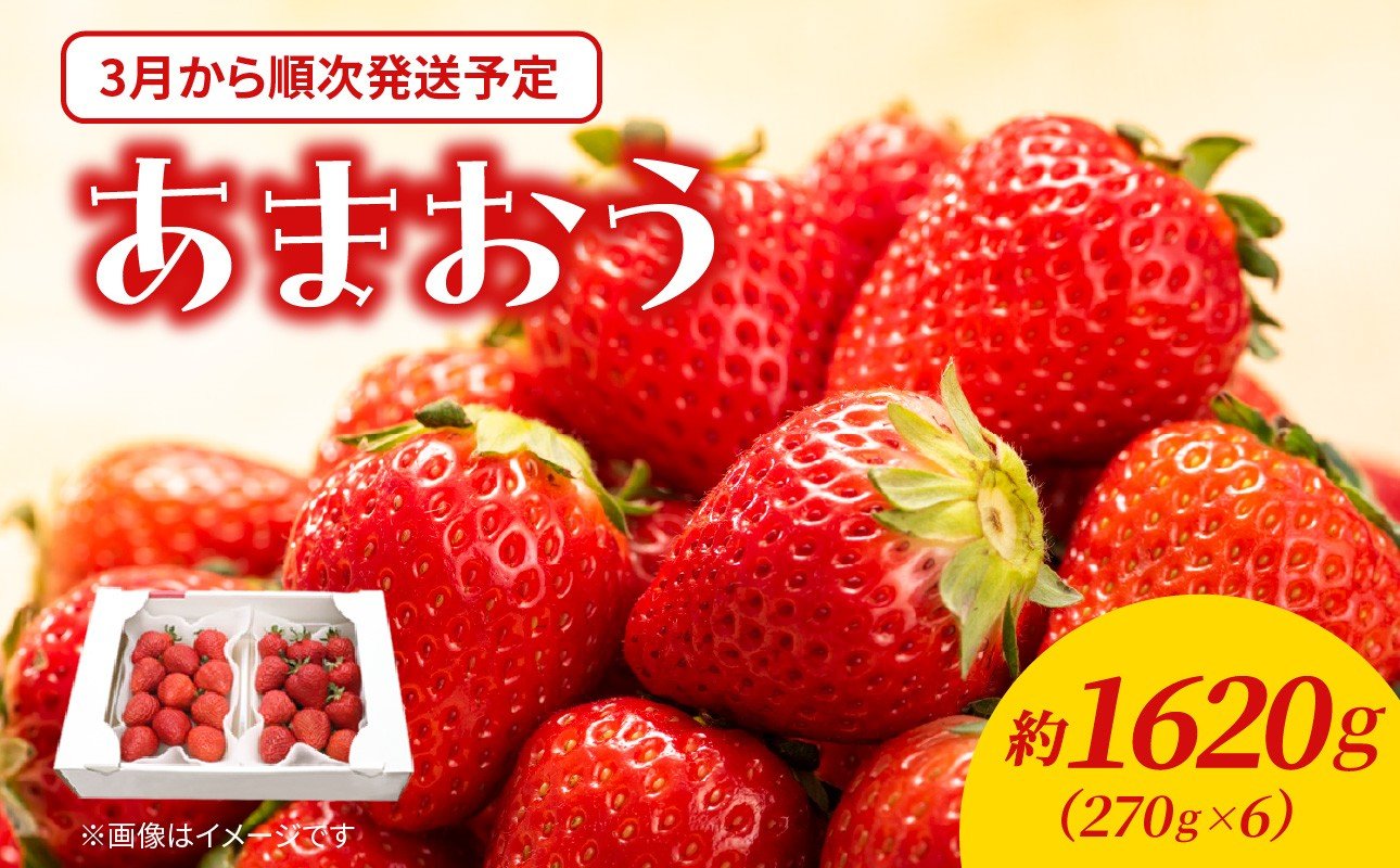 
            【2026年3月配送開始】福岡・博多名物ブランドいちご「あまおう」 6パック 合計約1,620g ＜配送不可：北海道・沖縄・離島＞ あまおう いちご 苺 イチゴ フルーツ 果物 くだもの 人気 旬 福岡県産 アフター補償 産地直送 冷蔵配送 福岡県 八女市
          