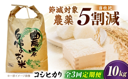 お米 定期便 コシヒカリ 10kg 新米 3ヶ月 <令和8年産> 新米定期便 令和8年 米 お米 こめ コメ 10kg 米10kg お米10kg 米10キロ お米10キロ お米定期便 米定期便 3か月 3カ月 ブランド米 ごはん こしひかり定期便 精米 白米 コシヒカリ米 国産米 おすすめ 人気 お取り寄せ 米定期便 滋賀県 長浜 滋賀県長浜市/狩野農園 [AQDK006]