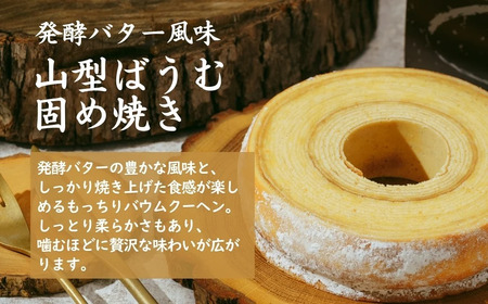 【バウムクーヘン】＜山型固め焼き＞ 切り株の家 自家製バウムクーヘン