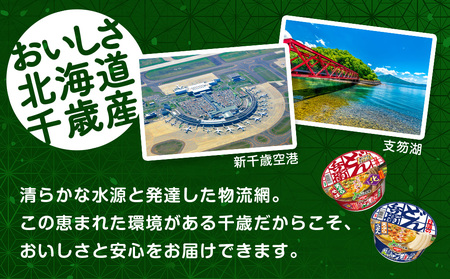 日清 北のどん兵衛 天ぷらセット＜うどん・そば＞各1箱・合計2箱 日清 インスタント麺 インスタントうどん インスタント 日清うどん そば カップそば 日清そば 北海道千歳市