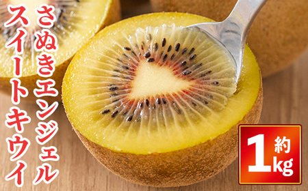 ＜先行予約！2026年11月中旬以降順次発送予定＞さぬきエンジェルスイートキウイ(約1kg) 国産 果物 キウイフルーツ 産地直送 【man353】【Aglio nero】