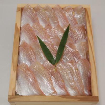 ふるさと納税 小浜市 熟成笹漬け・500g木箱入り・業務用サイズ