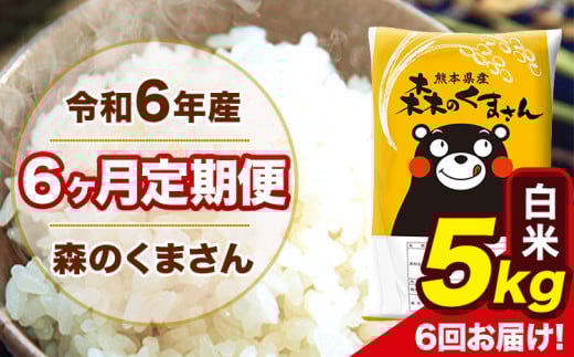 令和6年産 森のくまさん 白米 5kg 5kg×1袋 計6回お届け 《お申し込み月の翌月から出荷開始》 お米 こめ 熊本県産 ご飯 備蓄