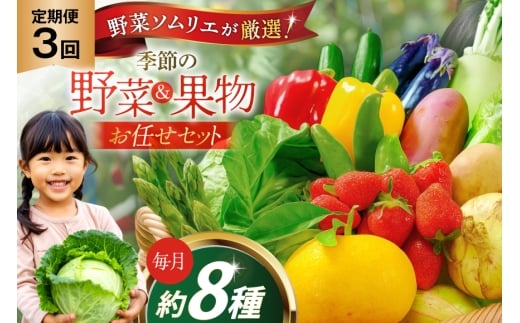 野菜 果物 ソムリエ厳選 地元野菜 果物 3回 定期便 [ひらど新鮮市場 長崎県 平戸市 hr42bgy400197] やさい くだもの フルーツ
