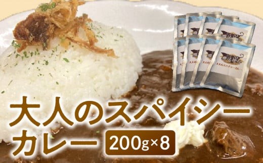 大人のスパイシーカレー200g×8