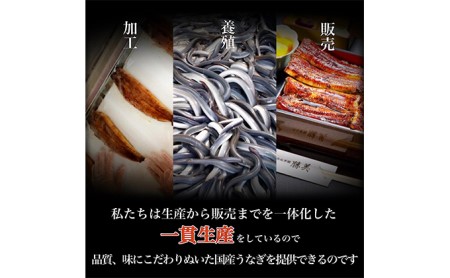 きざみうなぎ 450g 90g×5袋 訳あり 冷凍 きざみうなぎ