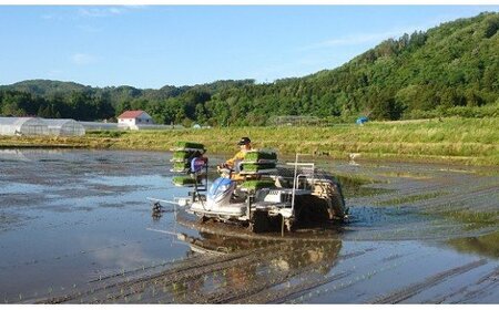 3-O　【6ヶ月定期便】コシヒカリ 白米 会津 10kg 6回 計60kg 令和7年産米 ｜ 減農薬 特別栽培米 米 お米 藤川農産 ※2025年10月上旬頃より順次発送予定