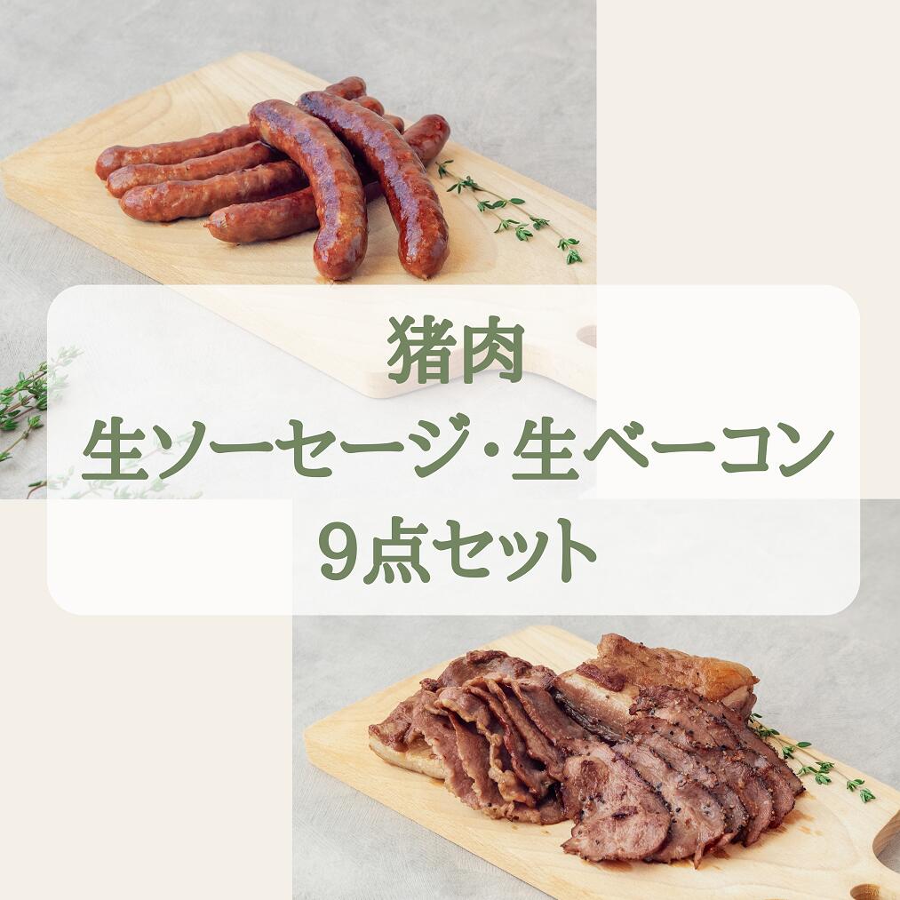 【ふるさと納税】猪肉 生ソーセージ ＆ 生ベーコン 詰め合わせ 9点 バラエティ セット 小分け 猪肉 しし肉 ジビエ ソーセージ プレーン ガーリックペッパー ベーコン 加工品 BBQ バーべキュー 焼肉 朝食 冷凍配送 冷凍でお届け