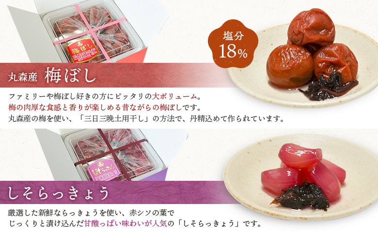 大満足　お漬物２種セット　梅ぼし　しそらっきょう　食べ比べ【02104】