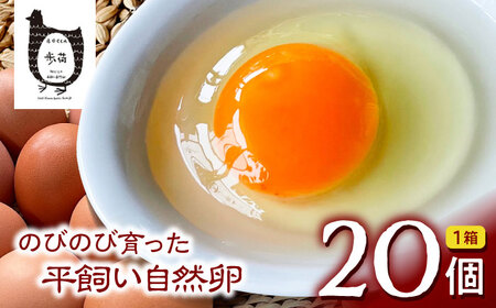 放し飼い 自然卵 「歩荷」 箱20個入 / 卵 たまご 鶏卵 玉子 平飼い / 稲沢市 / 平飼い自然卵歩荷 [BMBM001]