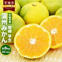 【ふるさと納税】宇城市産 尾崎 早生 温州みかん 約8kg 60玉前後 ひでみかん 早生みかん みかん ミカン 蜜柑 フルーツ 果物 くだもの 熊本県産 九州産 国産 送料無料 【11月上旬から12月下旬発送予定】