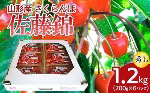 山形産 さくらんぼ 佐藤錦 L 1.2kg(200g×6パック) 【令和7年産先行予約】FS24-505くだもの 果物 フルーツ 山形 山形県 山形市 2025年産