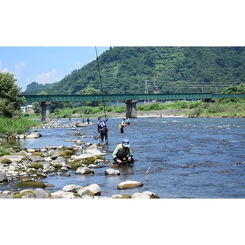 遊漁年券A1あゆ　竿釣（友釣りのみ）（但し魚沼漁業協同組合の範囲内に限ります）