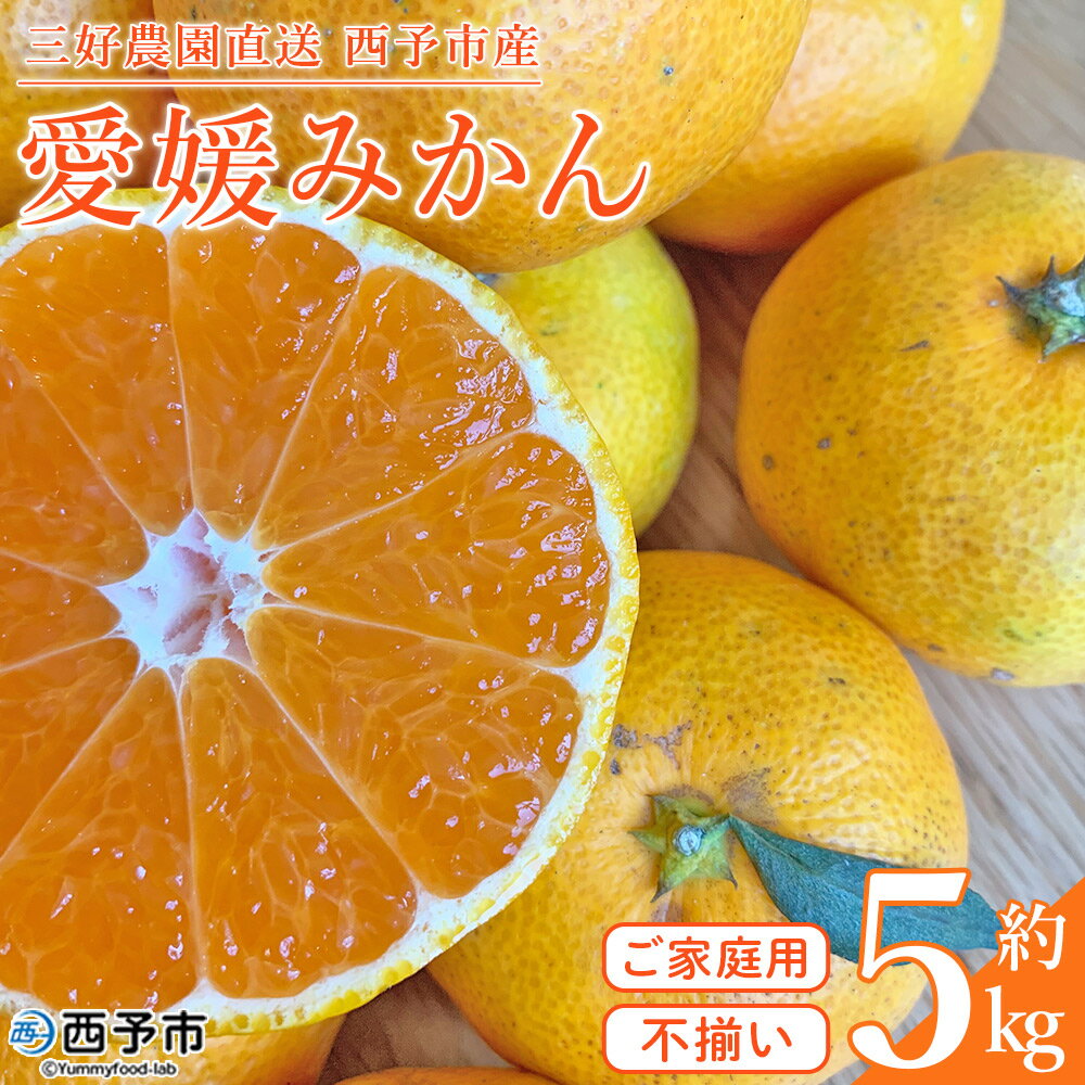 【ふるさと納税】＜愛媛みかん 家庭用（不揃い）箱込約5kg＞ 果物 フルーツ 温州みかん うんしゅうみかん ウンシュウミカン みかん ミカン 蜜柑 オレンジ 柑橘 訳あり 産地直送 三好農園 西宇和 愛媛県 西予市【常温】『2025年11月中旬～2026年1月中旬迄に順次出荷予定』