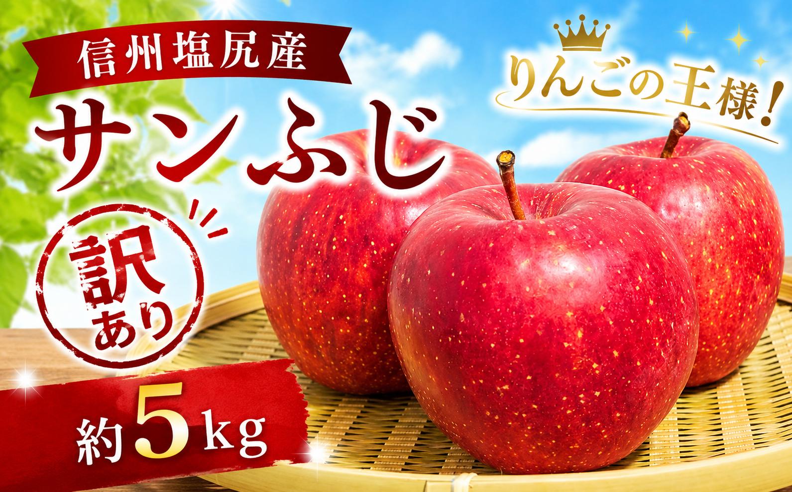 
                  【2026年先行予約】【訳あり】【チョイス限定♪】モモセ果樹園 信州塩尻産 サンふじ 約5kg ｜ 先行受付 果物 くだもの フルーツ サンふじ りんご チョイス限定 林檎 信州 長野県 塩尻市
                
