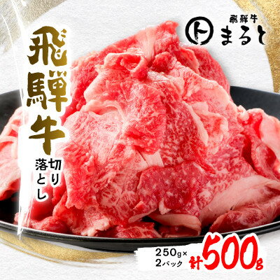 【ふるさと納税】【毎月定期便】飛騨牛切り落とし250g×2p　すきやき・しゃぶしゃぶ・牛丼など全3回【配送不可地域：離島】【4086425】