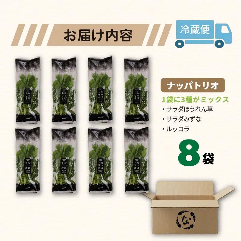 3種ミックス ルッコラ ほうれん草 みずな サラダセット | 水菜 ほうれんそう 水耕 栽培 新鮮 葉物 野菜 ドレッシング 南国市