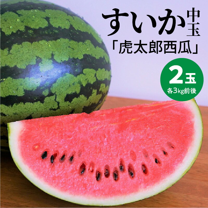 【ふるさと納税】〈予約受付〉2027年発送 予約 中玉すいか 虎太郎西瓜 2玉 夏 風物詩 すいか 甘い すいか2玉 スイカ ジューシー 鈴良農園 愛知県 碧南市 送料無料