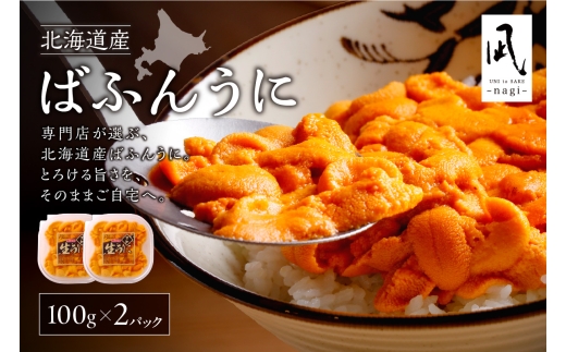 【先行予約】《北海道産》バフンウニ 塩水 100g×2パック＜札幌カネシン水産＞