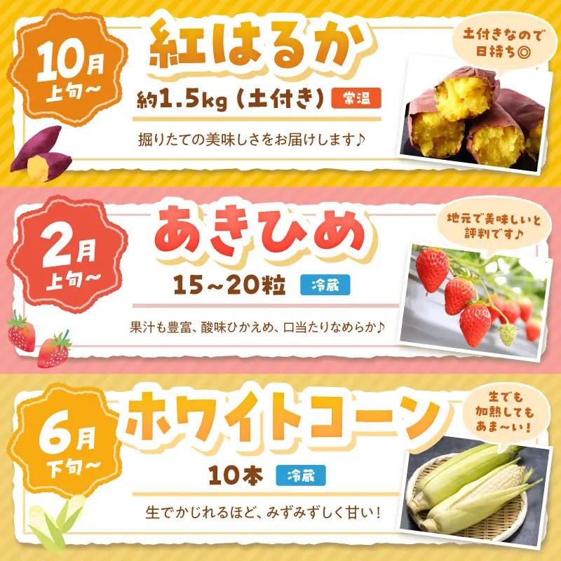 【野菜】旬野菜3回定期便｜サツマイモ.ホワイトコーン.イチゴ