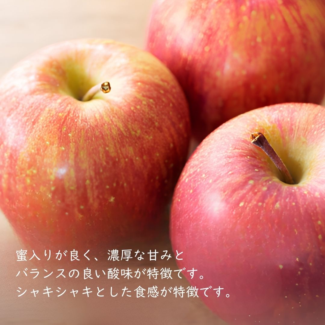 KR15 サンふじ 贈答 中玉 約5kg（14～16玉） 長野県松川町産／11月下旬頃～配送予定//長野県 南信州 リンゴ 林檎 ギフト ふじ さんふじ 農家直送 農家支援 産地直送