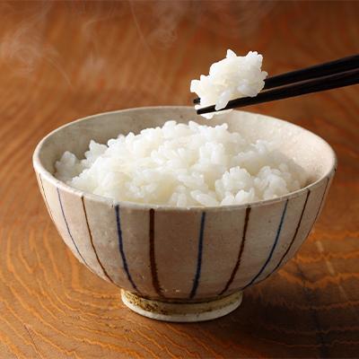 ふるさと納税 登米市 令和6年産　宮城県登米市産ササニシキ(精米)5kg×2袋セット |  | 01