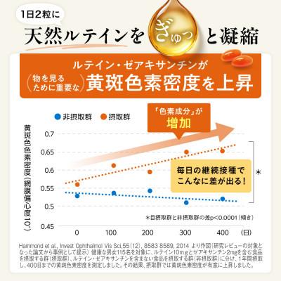 ふるさと納税 静岡市 明快 ルテインサプリ 見ると認知をケアする機能性表示食品 ブルーベリーDHA 6袋(約6ヶ月分) |  | 03