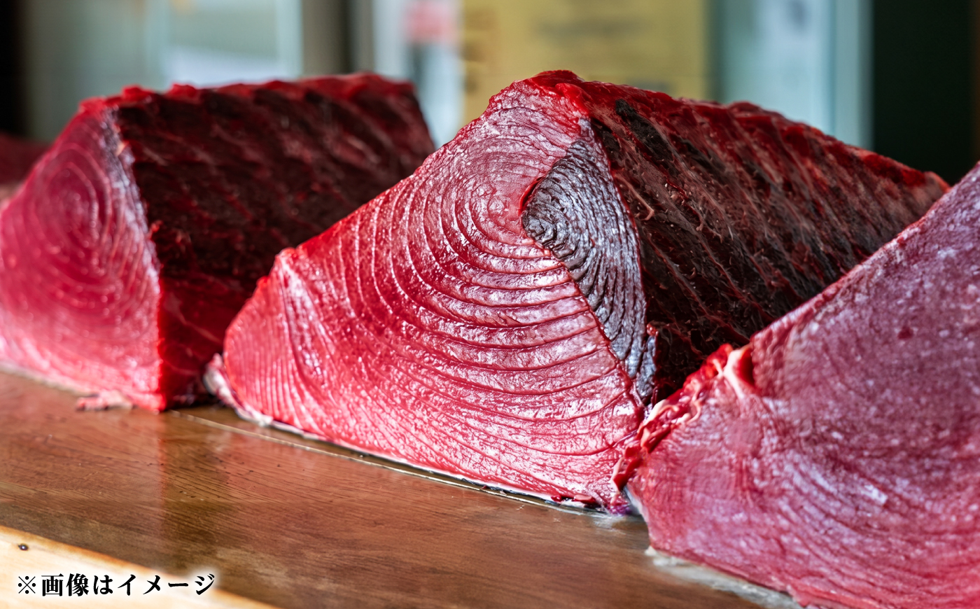 【赤身・トロセット】壱岐産 天然本マグロ 400g 《壱岐市》【丸昇水産】 国産 まぐろ マグロ 鮪 トロ とろ 刺身 刺し身 柵 魚 赤身 魚介 鮮魚 天然 [JFZ014]