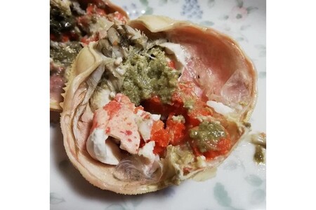 カニ ボイルガニ／「訳あり」茹でセコガニ（コッペガニ）150g前後×2杯セット カニ 蟹 ズワイ蟹 ズワイガニ セコガニ セコ蟹 コッペガニ コッペ蟹 外子 内子 蟹味噌 カニ味噌 茹でガニ 茹で蟹 