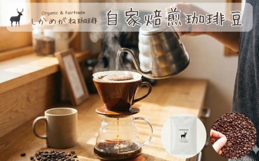 しかめがね 自家焙煎珈琲豆 100g×定期便3回 | コーヒー 豆 焙煎 ドリップ 豆 有機JAS認証 無農薬有機栽培 酸味 苦味 すっきり バランス