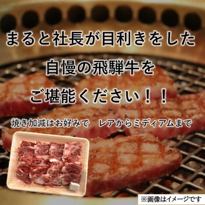 【飛騨牛】カルビ焼肉用 計300g　黒毛和牛【配送不可地域：離島】