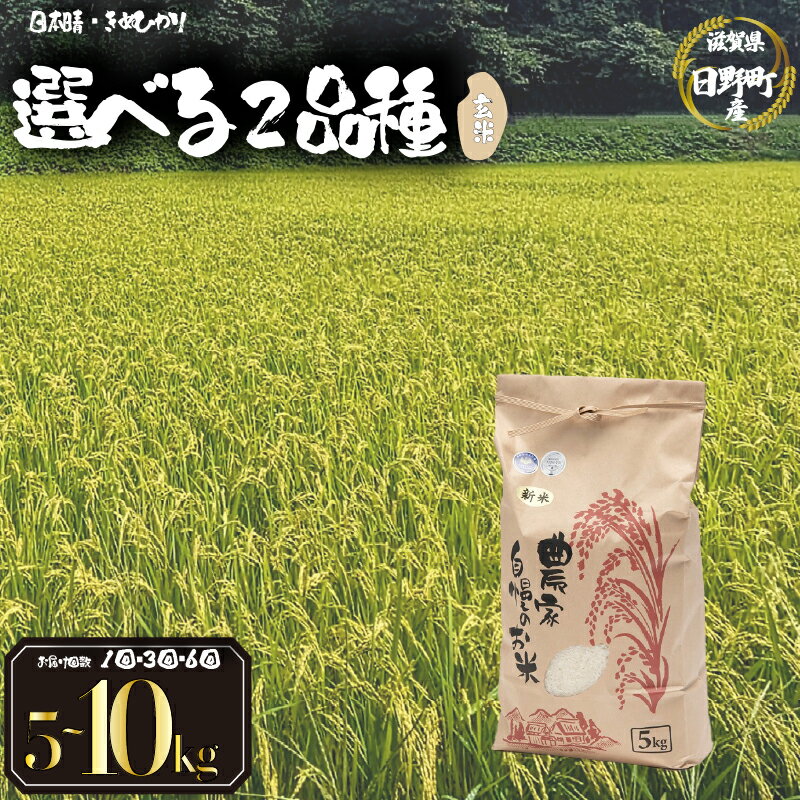 【ふるさと納税】 令和7年産 新米 5kg 玄米 選べる 【 品種 容量 お届け回数 】 日本晴 きぬひかり 5kg 10kg 30kg 玄米 定期便 3ヶ月 6ヶ月 米 2025年産 国産 滋賀県 日野町 農家直送 お米 おこめ こめ 産地直送 ふるさと納税 スーパーセール お買い物マラソン